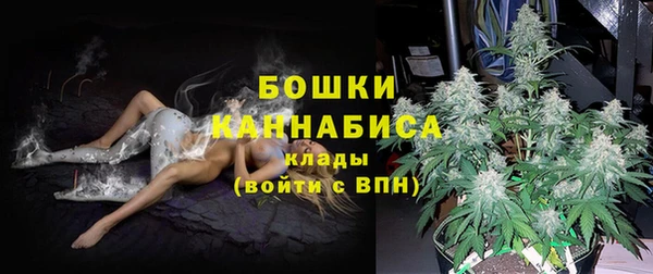 индика Лагань