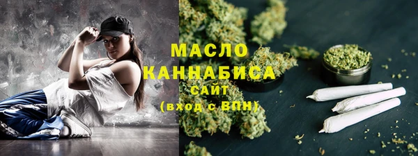 хмурый Ладушкин