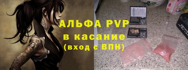 хмурый Ладушкин