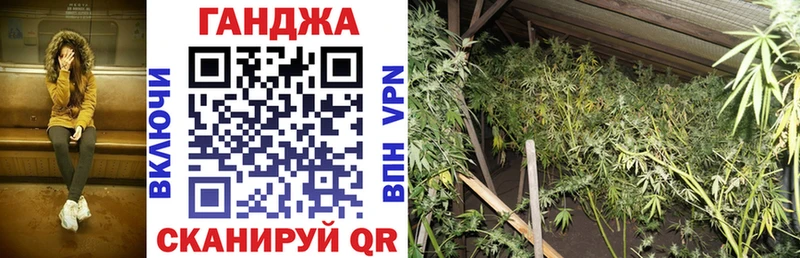 Купить закладки  Новоаннинский  Конопля план 